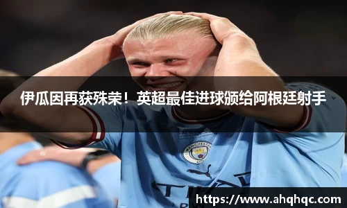 伊瓜因再获殊荣！英超最佳进球颁给阿根廷射手